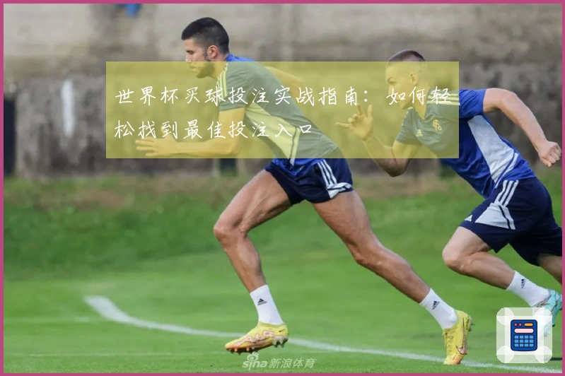 世界杯买球投注实战指南：如何轻松找到最佳投注入口