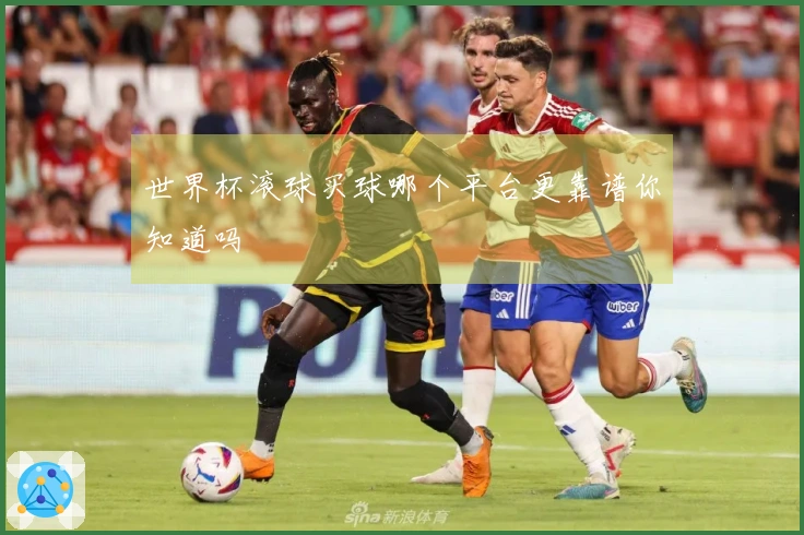 世界杯滚球买球哪个平台更靠谱你知道吗