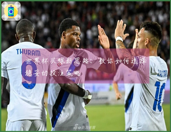 世界杯买球新思路：教你如何选择稳妥的投注策略