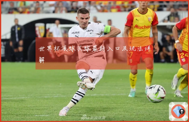 世界杯滚球买球最新入口及玩法详解
