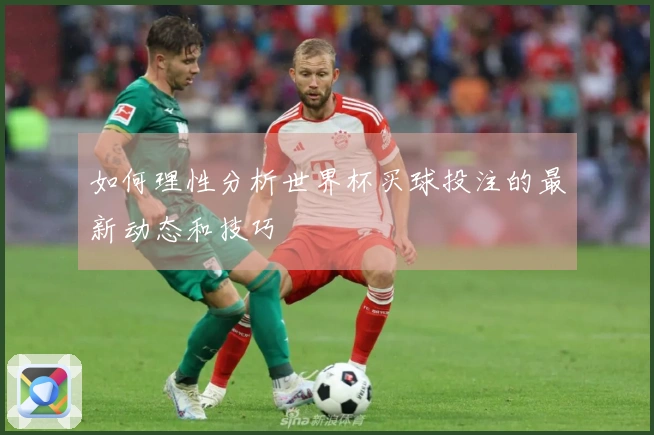 如何理性分析世界杯买球投注的最新动态和技巧