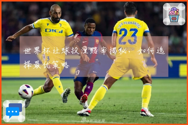 世界杯让球投注赔率揭秘，如何选择最优策略