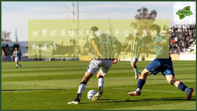 世界杯滚球买球哪个平台更靠谱你知道吗