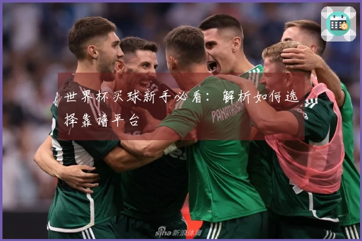 世界杯买球新手必看：解析如何选择靠谱平台