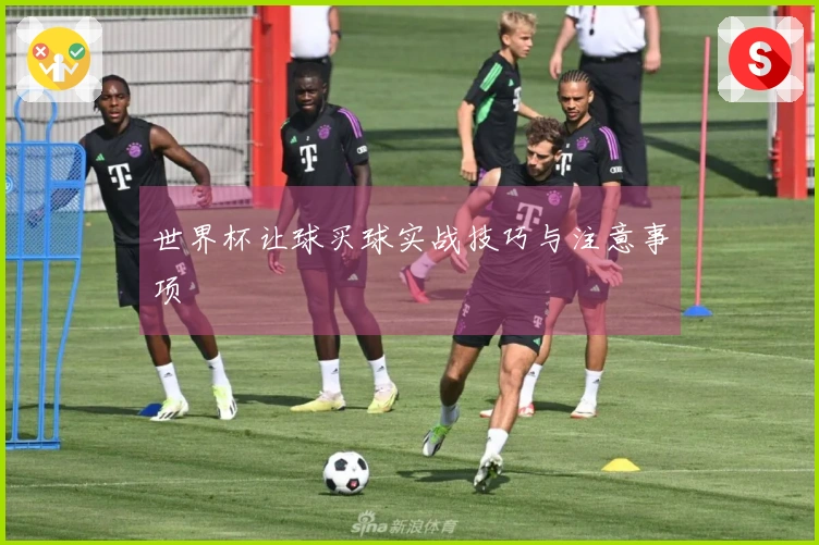 世界杯让球买球实战技巧与注意事项